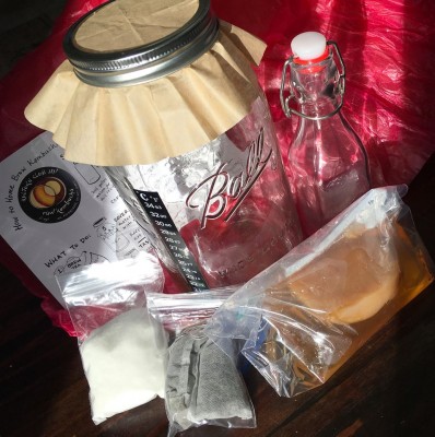 Kulture Club Kombucha Starter Kit On Martha's Vineyard