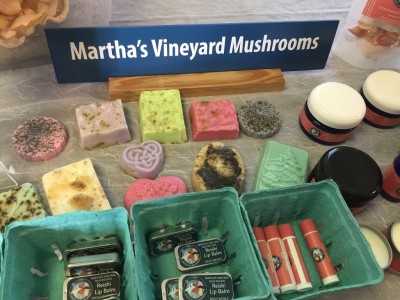 Martha's Vineyard Mushrooms