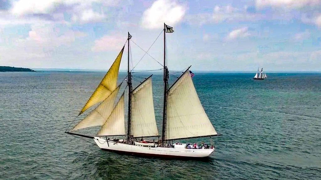 The Black Dog Tall Ships Martha's Vineyard Bucket List Adventure