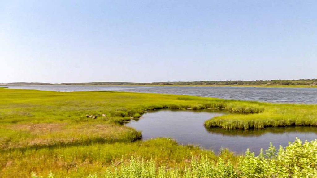 What To Do With The Trustees On Martha's Vineyard At Cape Poge Wildlife Refuge and Long Point Wildlife Refuge
