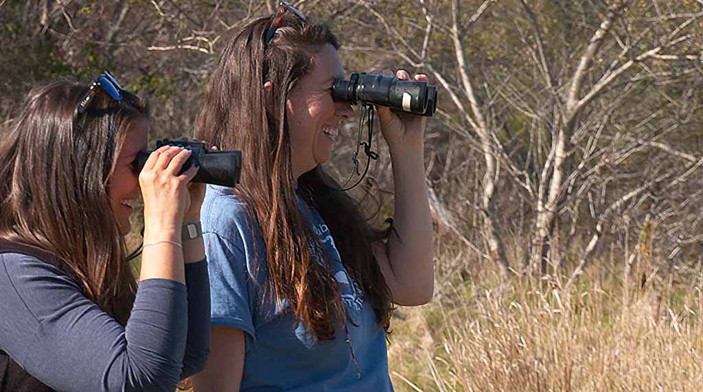 Martha's Vineyard Bucket List: Exploring Felix Neck Wildlife Sanctuary Birding With Josey Kirkland Education Coordiantor