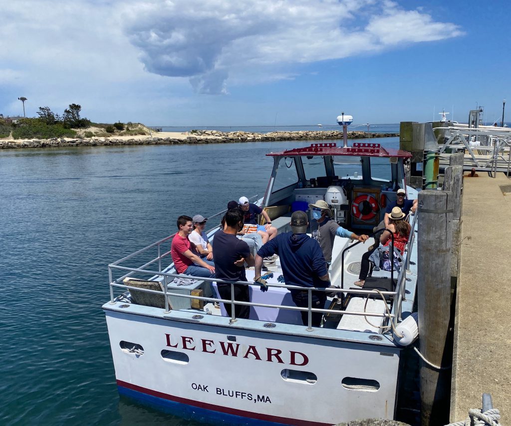 Experience Cottage City Oyster Farm Tours on Martha's Vineyard  Point B Realty Oak Bluffs Eat Local