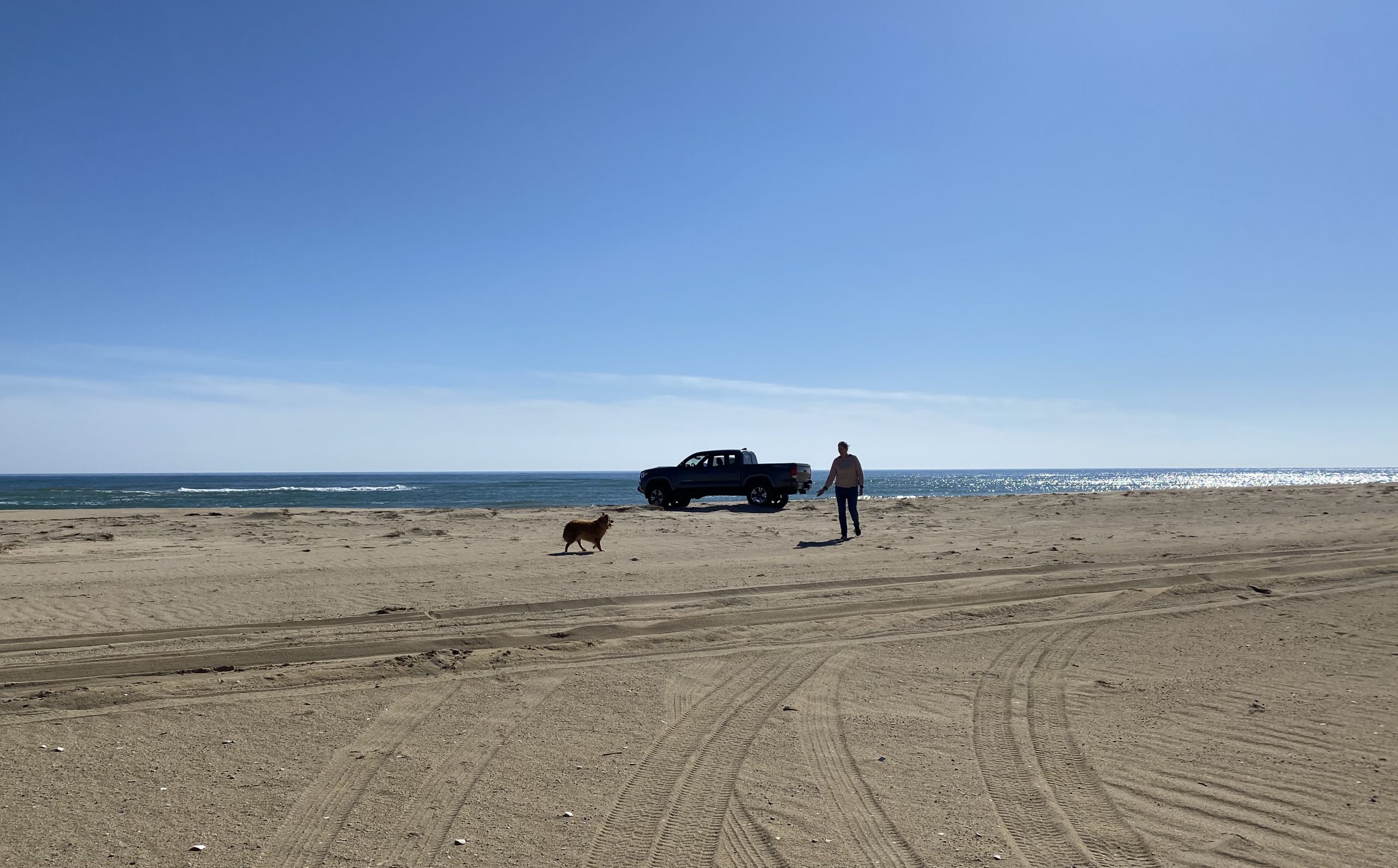 Oversand Vehicle 
Norton Point
Martha's Vineyard
The Trustees 
Summer 
Edgartown
Dog friendly