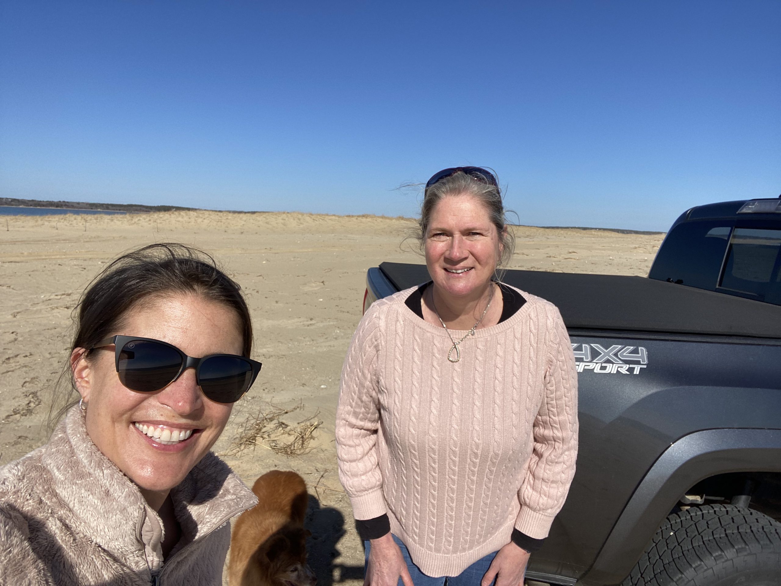 Over Sand Vehicle Permit Adventures On Martha's Vineyard Trish Lyman Guinevere Cramer Flash the dog