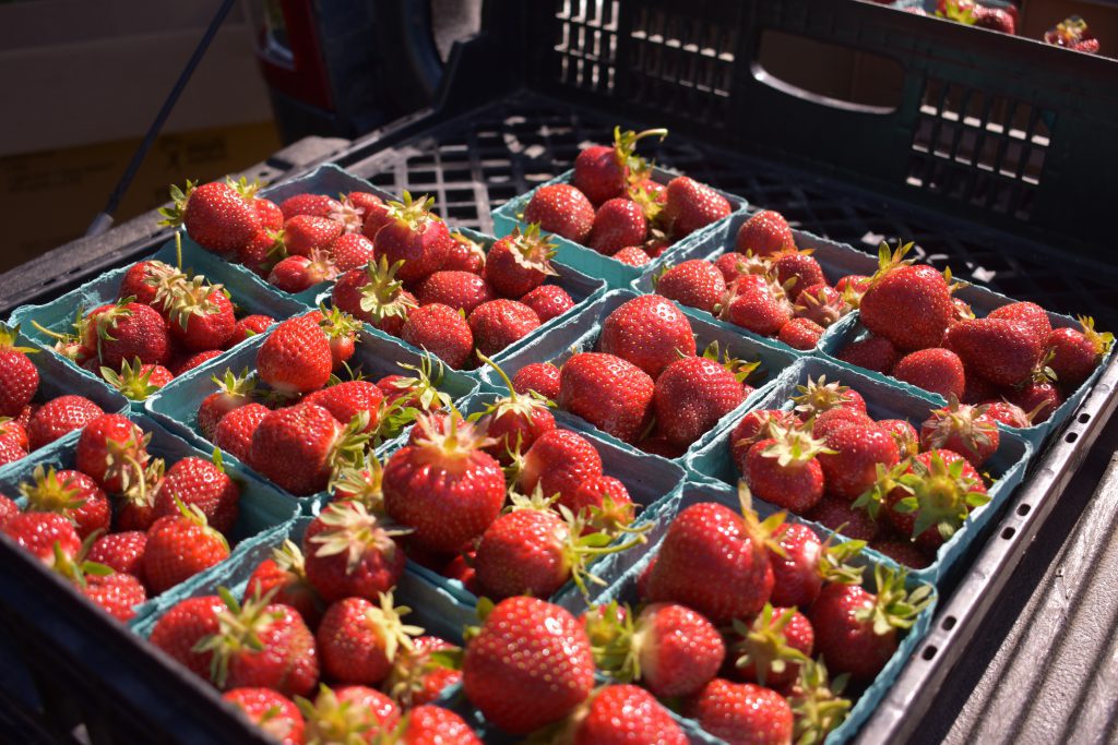 Fresh Strawberries 
Morning Glory Farm
Martha's Vineyard
Edgartown