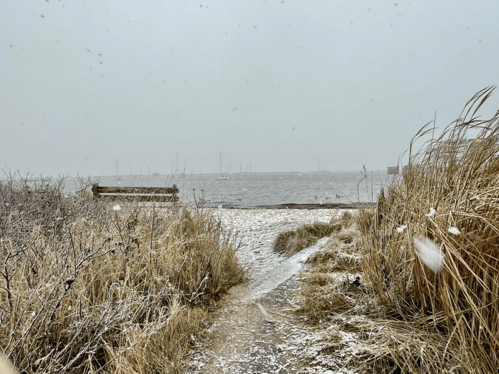 Martha's Vineyard In The Snow: Winter Sports and Nature Walks Vineyard Haven harbor dusted with snow. 