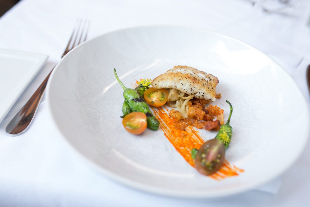 Seasonal Spring Re-Openings We're Excited For on Martha's Vineyard Fish dish at Detente on white plate with white tablecloth 