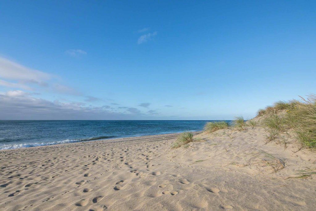 The Point B Guide to Martha's Vineyard Beaches in 2023 South Beach In Edgartown