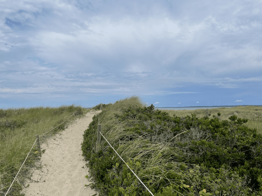 Giving Season Spotlight: 10 Martha's Vineyard Non-Profits Making a Difference  Sheriff's Meadow Sanctuary Cedar Tree Neck Sanctuary in West Tisbury is one of the many conserved properties managed by Sheriff's Meadow Foundation