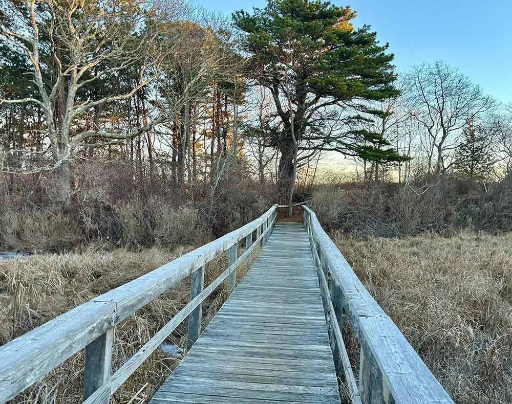 Save the Date for These Martha's Vineyard Summer Events in 2024 MV Land Bank Cross Island Hike