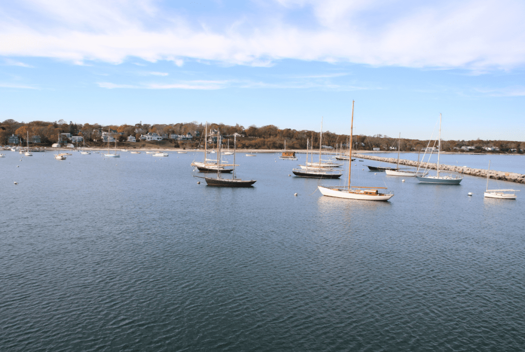 Top Family-Friendly Activities and Attractions on Martha's Vineyard Enjoying the Parks, Playgrounds Picnis