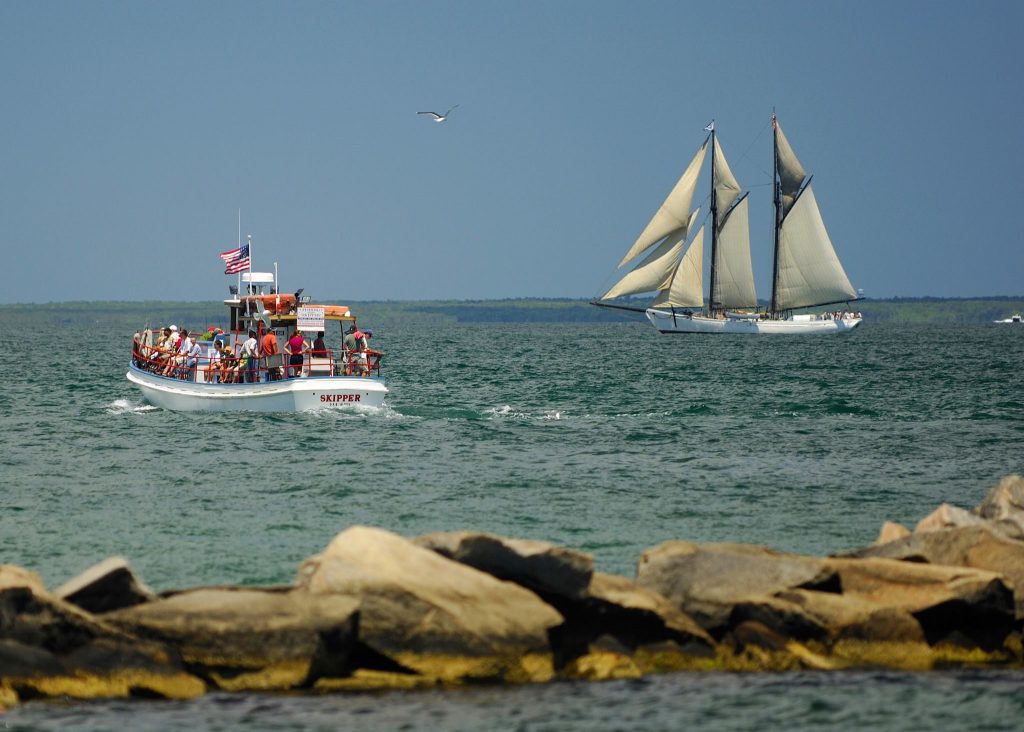 Counting Down to the 2024 Martha's Vineyard Striped Bass and Bluefish Derby The Skipper Charter Fishing Boat For Derby Fishing