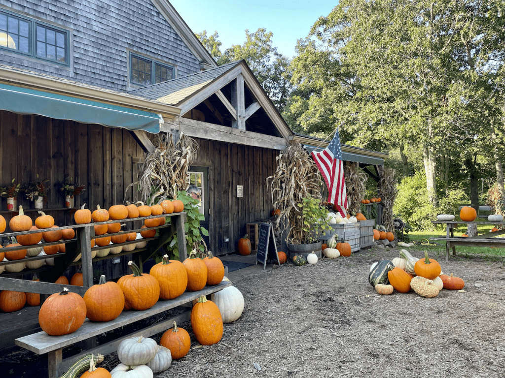 The Point B Guide To Fall Activities on Martha's Vineyard Morning Glory Farm Edgartown