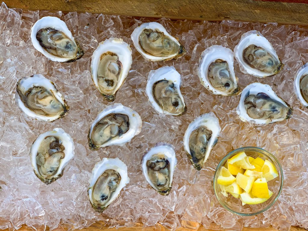 Foodie’s Guide to Fall Flavors on Martha’s Vineyard oysters on the half shell